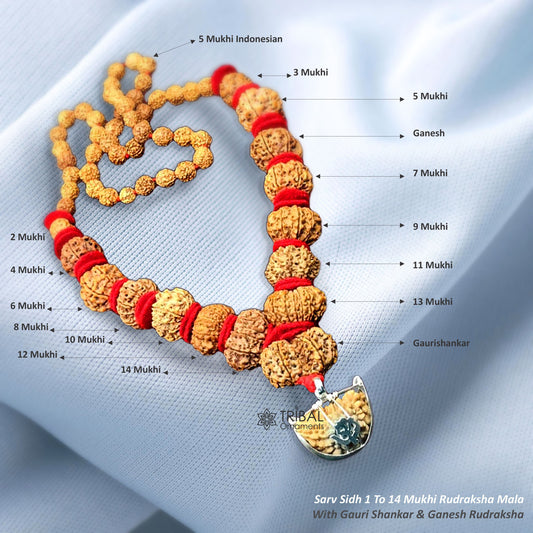 Siddha Rudraksha Mala1 to 14 Mukhi, Ganesh, Gaurishankar Rudraksha, Original Nepal Medium Size Beads Lab Certified meditation necklace 001 - TRIBAL ORNAMENTS