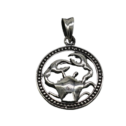 Sterling silver Zodiac Cancer pendant featuring the Cancer symbol, modern design, trendy horoscope jewelry by Tribal Ornaments