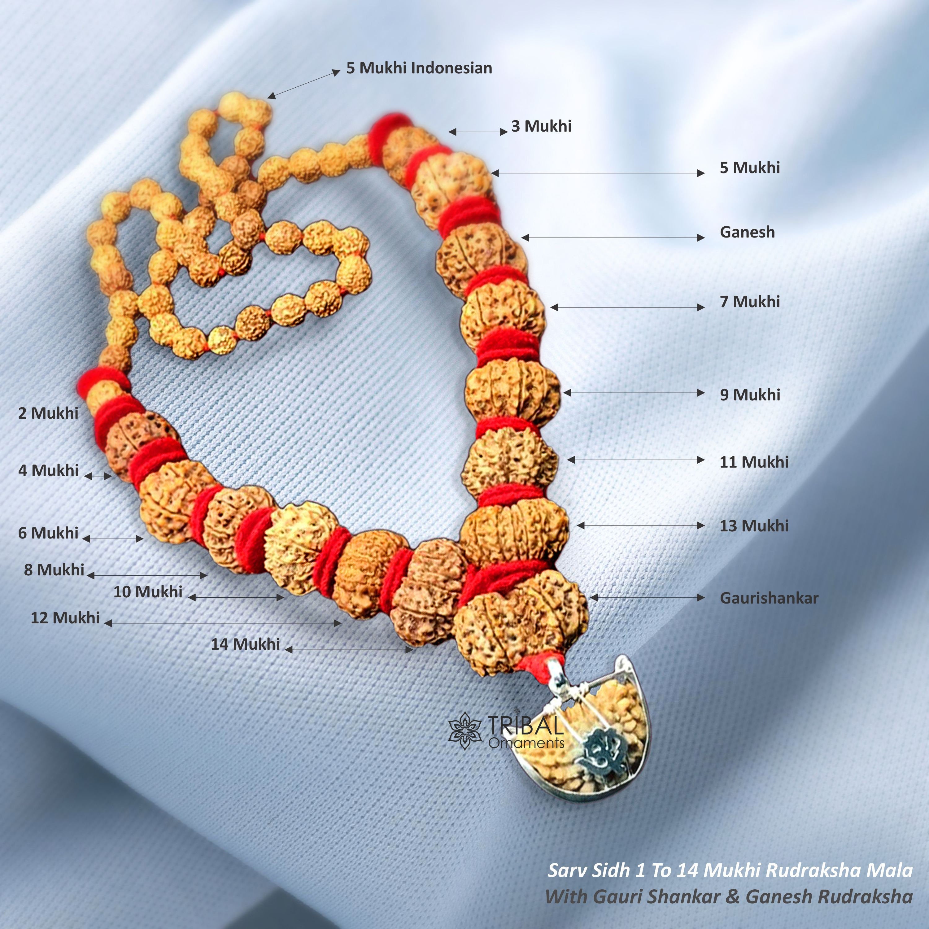 Natural 14 Mukhi Rudraksha Bracelet 20 Beads Indonesia origin beads  Energized | eBay