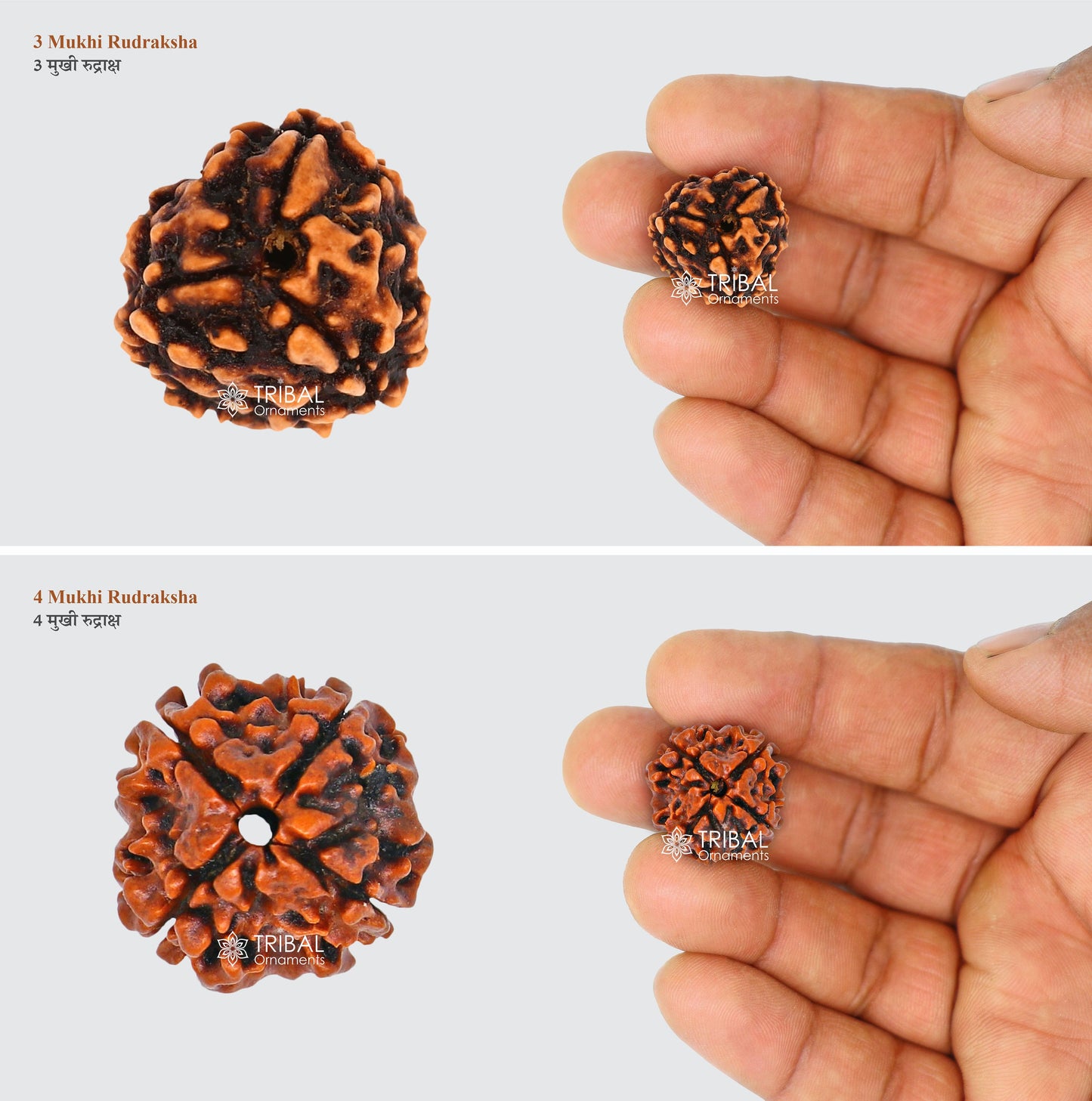 1 TO 11 Mukhi and Gorishankar and Ganesha Natural rudraksha, Nepali Rudraksha kavacham, best meditation beads r005 - TRIBAL ORNAMENTS
