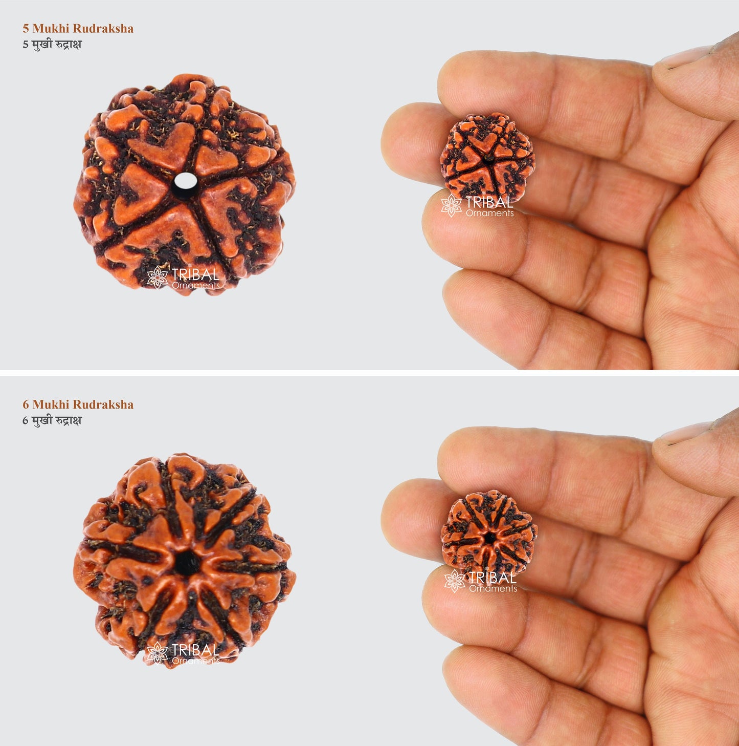 1 TO 11 Mukhi and Gorishankar and Ganesha Natural rudraksha, Nepali Rudraksha kavacham, best meditation beads r005 - TRIBAL ORNAMENTS