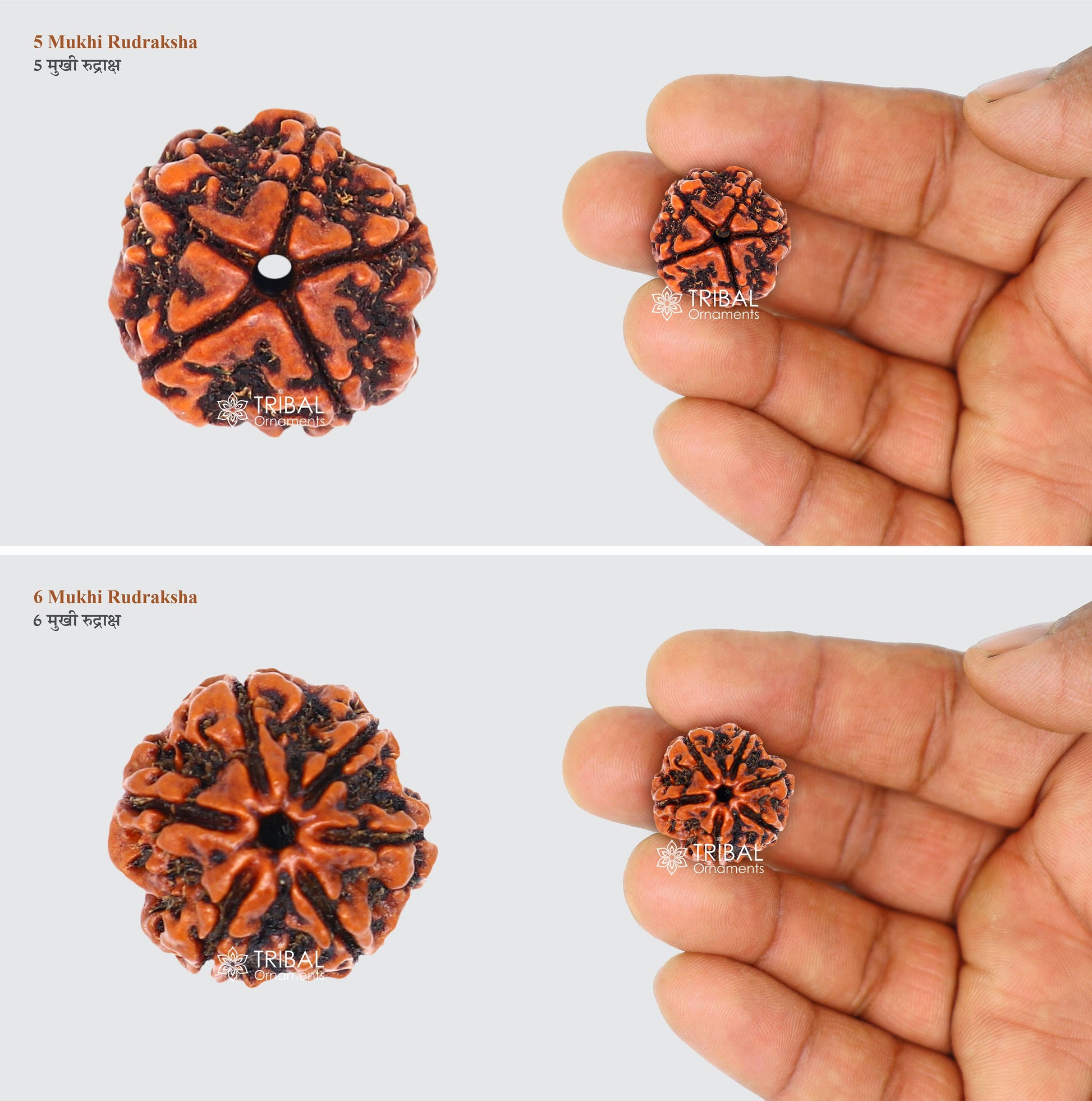 1 TO 11 Mukhi and Gorishankar and Ganesha Natural rudraksha, Nepali Rudraksha kavacham, best meditation beads r005 - TRIBAL ORNAMENTS