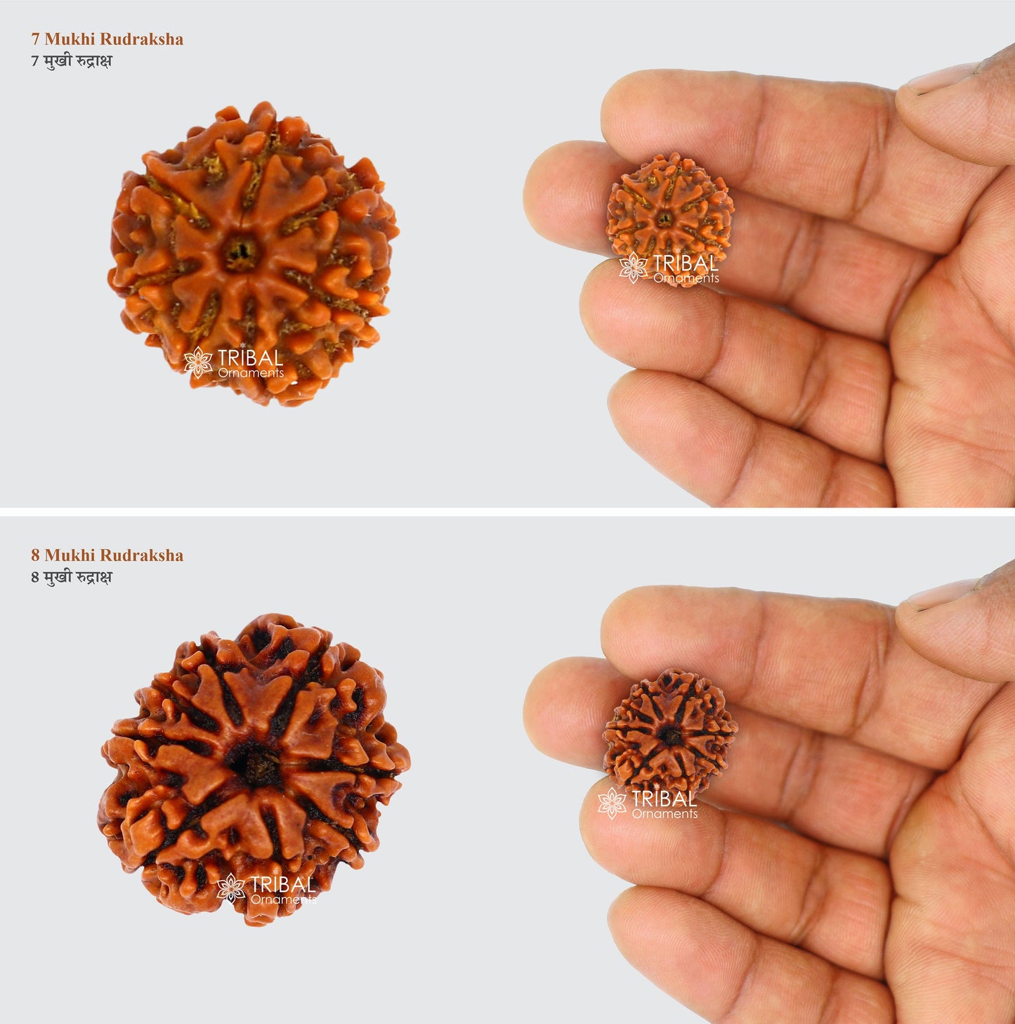 1 TO 11 Mukhi and Gorishankar and Ganesha Natural rudraksha, Nepali Rudraksha kavacham, best meditation beads r005 - TRIBAL ORNAMENTS