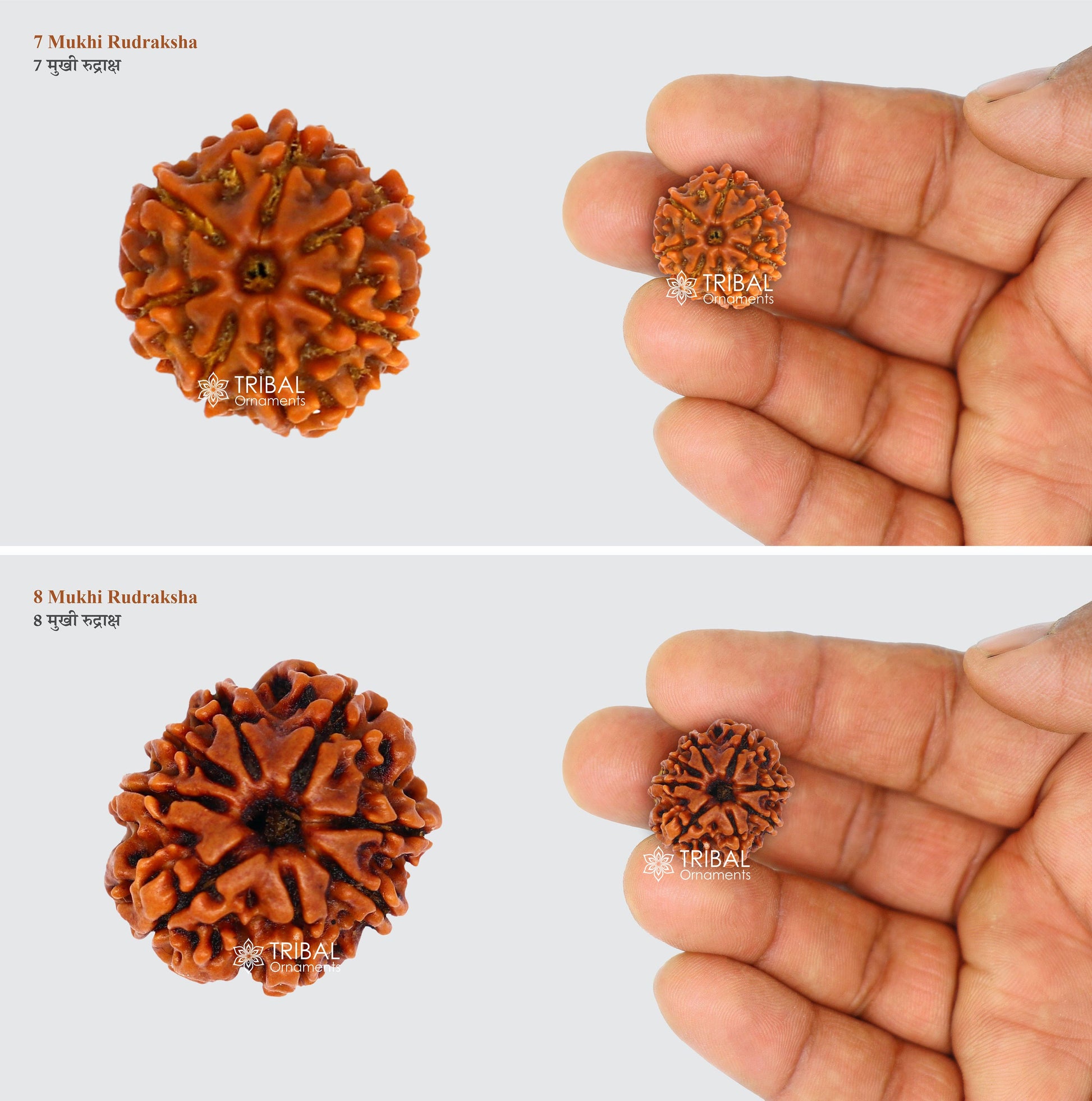 1 TO 11 Mukhi and Gorishankar and Ganesha Natural rudraksha, Nepali Rudraksha kavacham, best meditation beads r005 - TRIBAL ORNAMENTS