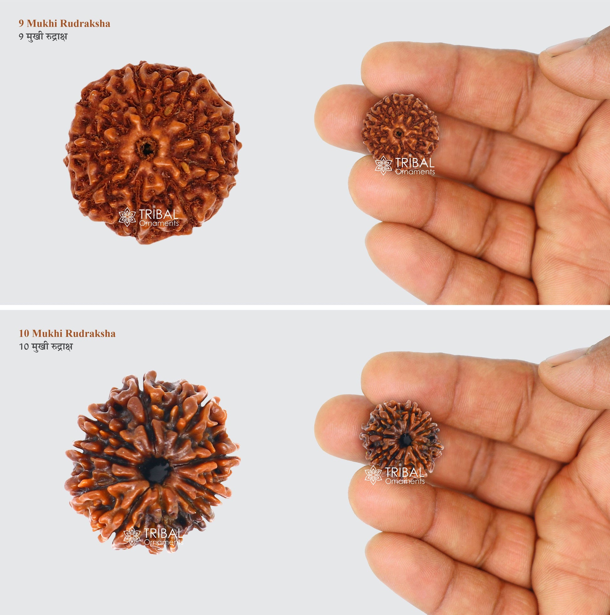 1 TO 11 Mukhi and Gorishankar and Ganesha Natural rudraksha, Nepali Rudraksha kavacham, best meditation beads r005 - TRIBAL ORNAMENTS