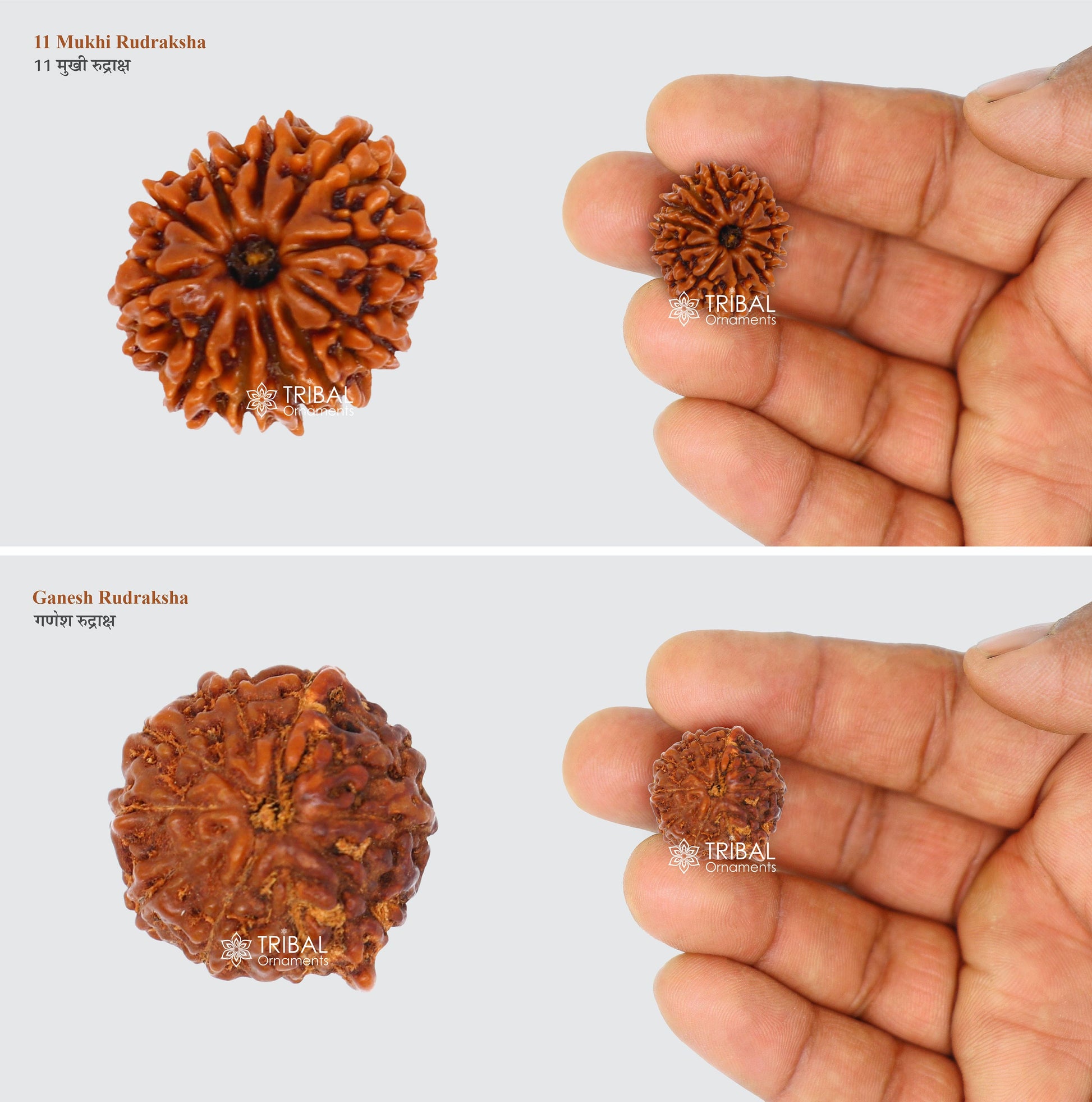 1 TO 11 Mukhi and Gorishankar and Ganesha Natural rudraksha, Nepali Rudraksha kavacham, best meditation beads r005 - TRIBAL ORNAMENTS