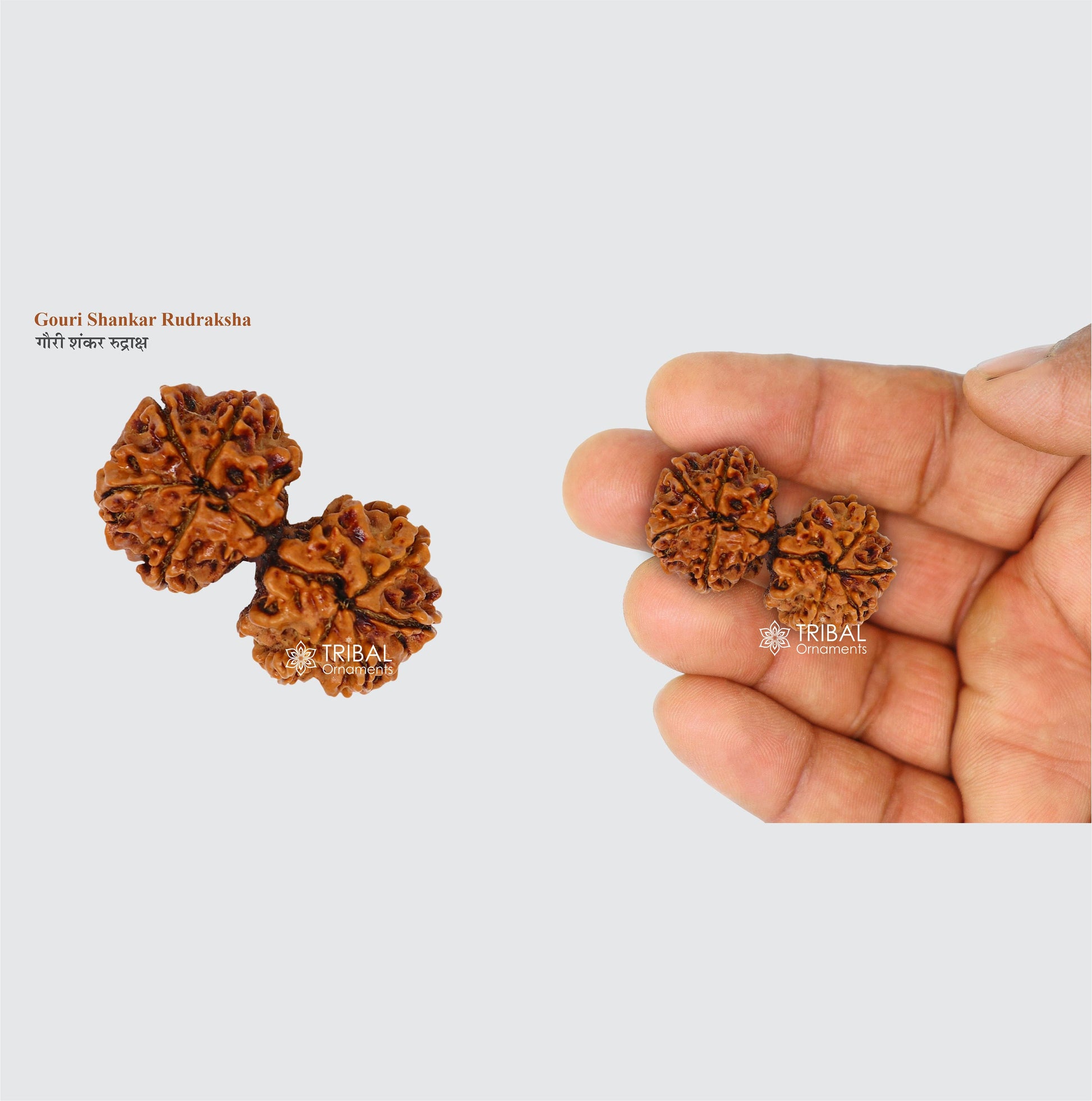 1 TO 11 Mukhi and Gorishankar and Ganesha Natural rudraksha, Nepali Rudraksha kavacham, best meditation beads r005 - TRIBAL ORNAMENTS